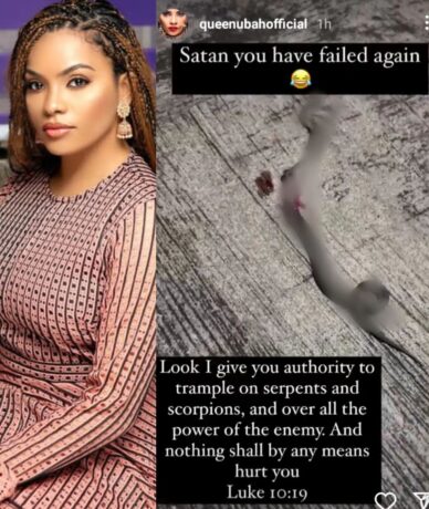  “Satan you have failed again” – Nigerian Beauty Queen rejoices after physically killing a snake that previously appeared in her dream