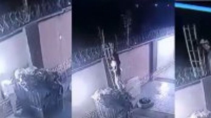 Alleged unfaithful housewife caught on Camera jumping over the fence in the middle of the night to meet another Man