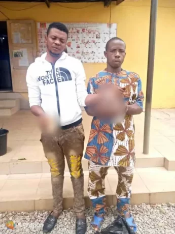 Police arrest two suspected ritualist with fresh human head and hands in Kwara (Graphics)